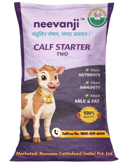 calf starter two removebg preview