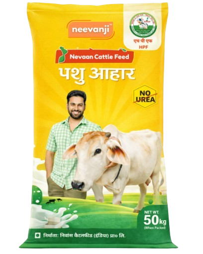 hpf removebg preview removebg preview