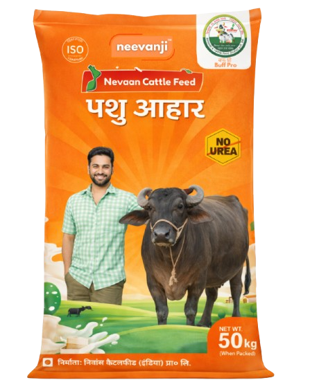 buff pro removebg preview